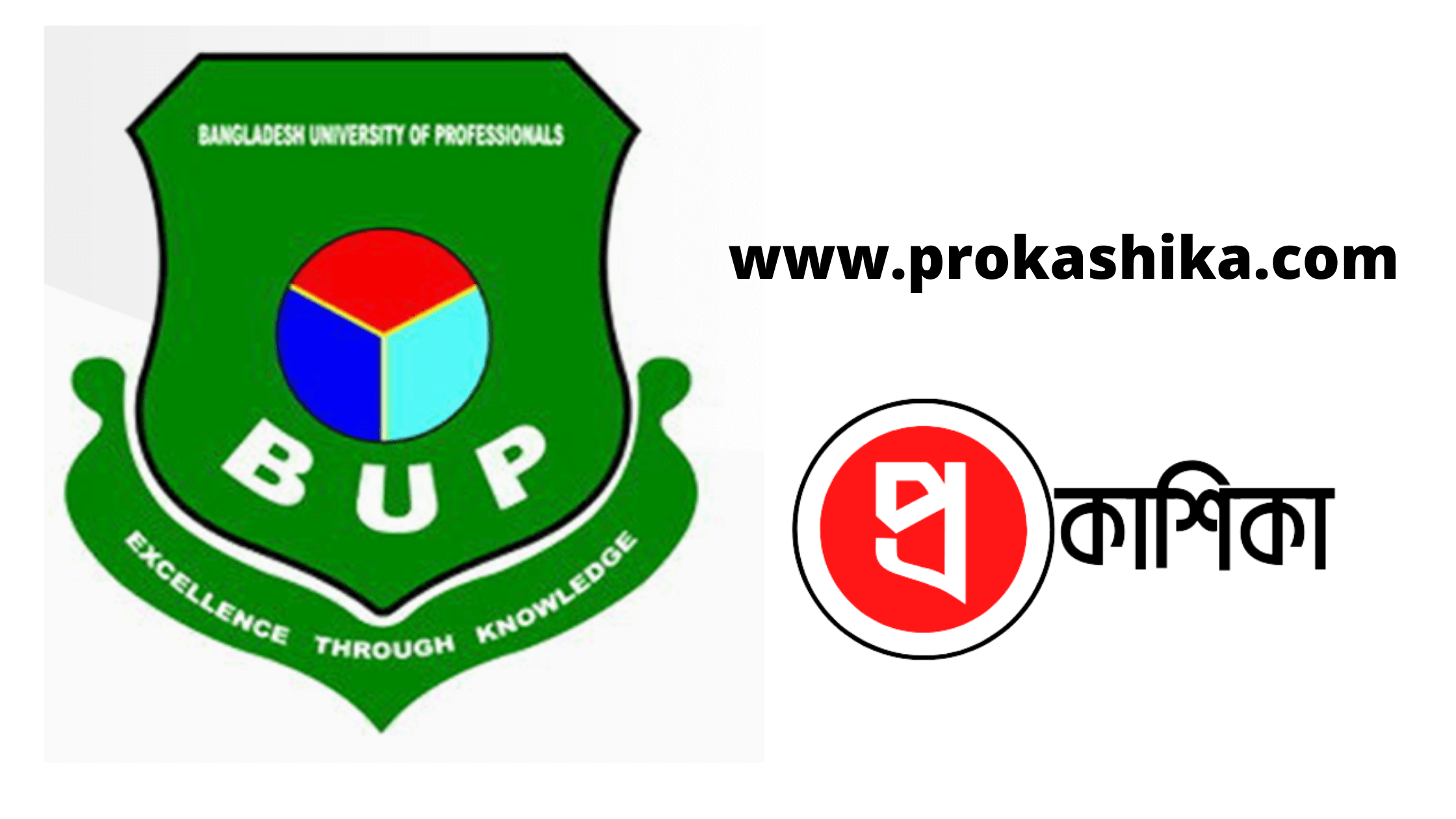 বিইউপি