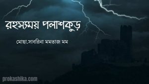 Read more about the article রহস্যময় পলাশকুড়