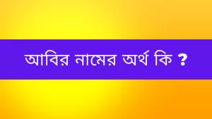 Read more about the article আবির নামের অর্থ কি? Abir name meaning in Bengali