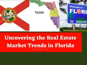 Uncovering the Real Estate Market Trends in Florida