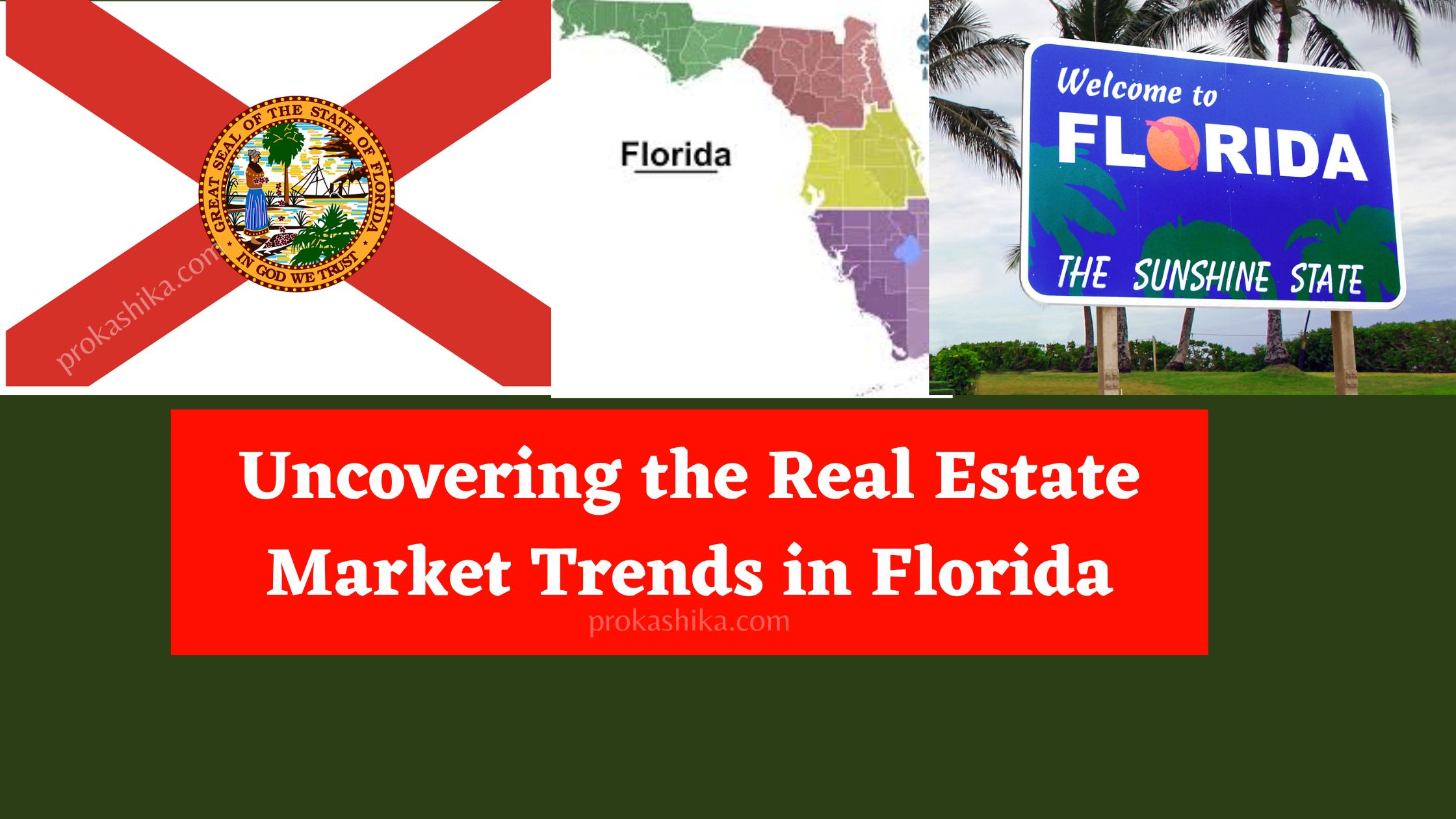 Read more about the article Uncovering the Real Estate Market Trends in Florida