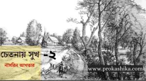 Read more about the article চেতনায় সুখ -২